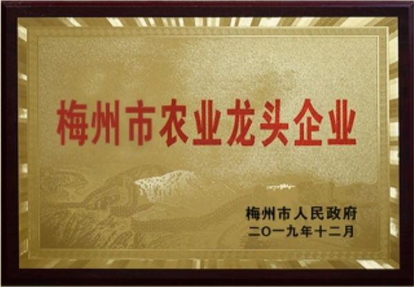 梅州市農業龍頭企業